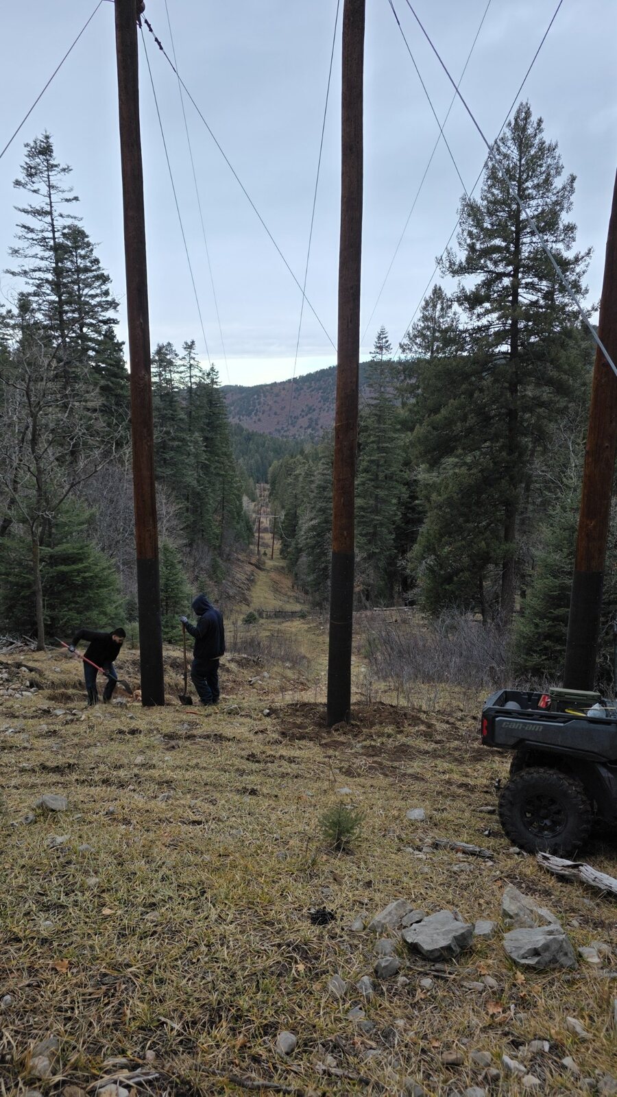 Wildfire Mitigation